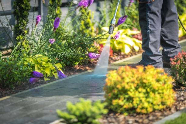 Best Gutter Cleaning  in Red Lion, PA